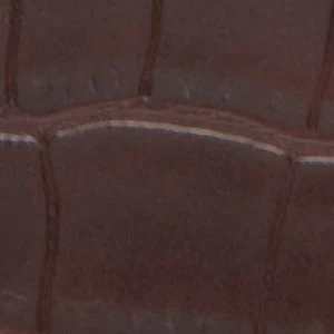 Aellaax - Image 5
