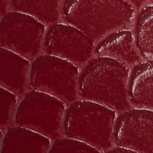 Aleena - Image 7
