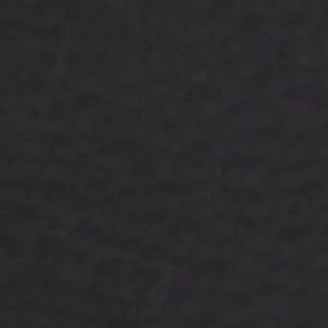 Alessie - Image 9