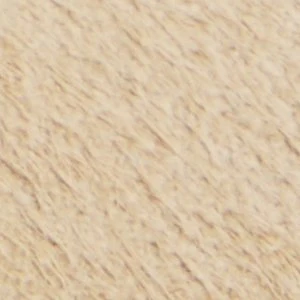 Alexio - Image 9