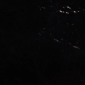 Alicieex - Image 7