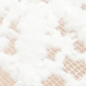 Alisse - Image 7