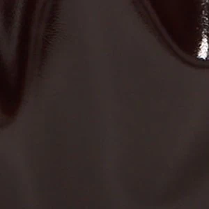 Alosa - Image 5