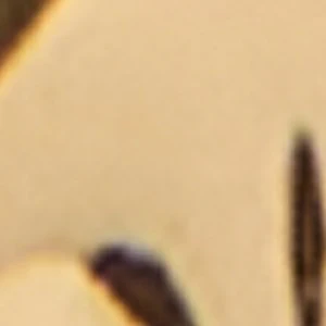 Alphabete - Image 2