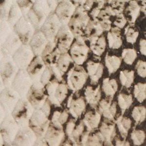 Amellie - Image 5