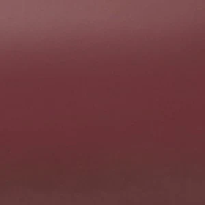 Amica - Image 2