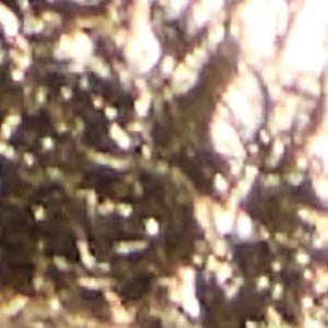Andrina - Image 6