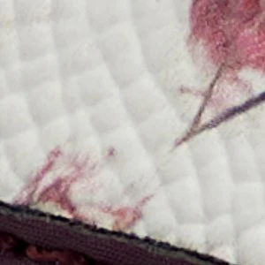 Areanne - Image 8