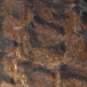 Arturo - Image 9