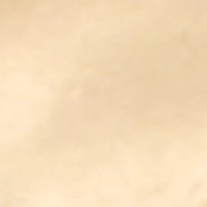 Aryannah - Image 3