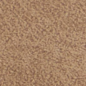 Aston - Image 9