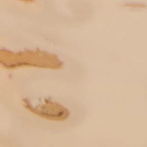 Baeraen - Image 2