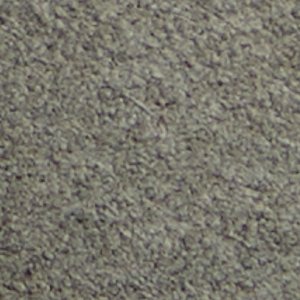 Bazz - Image 9