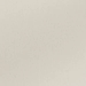 Beachglass - Image 8