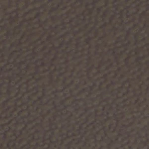 Beachwalk - Image 7
