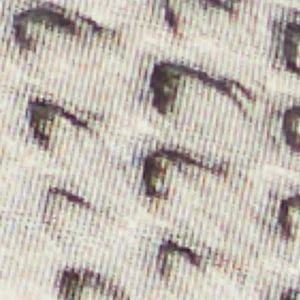 Bellamyy - Image 8