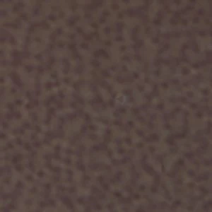 Berolsen - Image 8