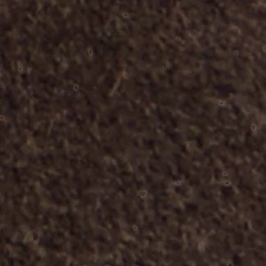 Bethie - Image 7