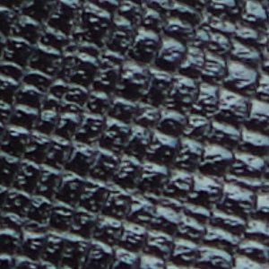 Biaggoo - Image 9