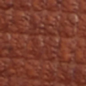 Biaggoo - Image 9