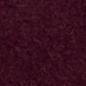 Biggin - Image 7
