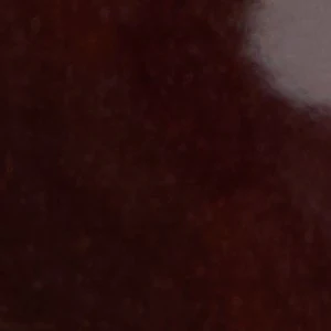Bissom - Image 8