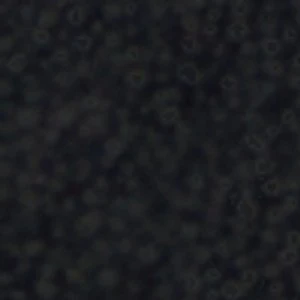 Bocelli - Image 9