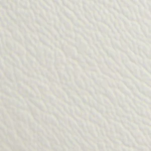 Braxton - Image 9