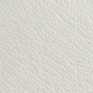 Braxton - Image 9
