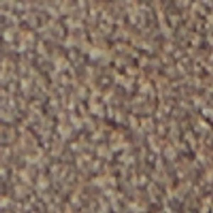 Brisbane - Image 9