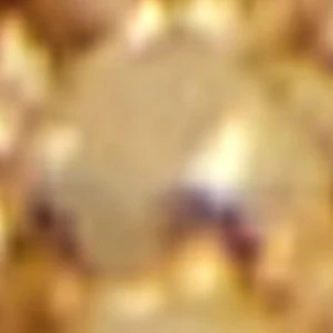 Bryella - Image 3