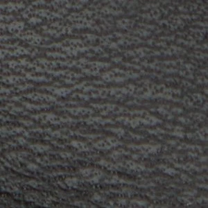 Buckley - Image 9