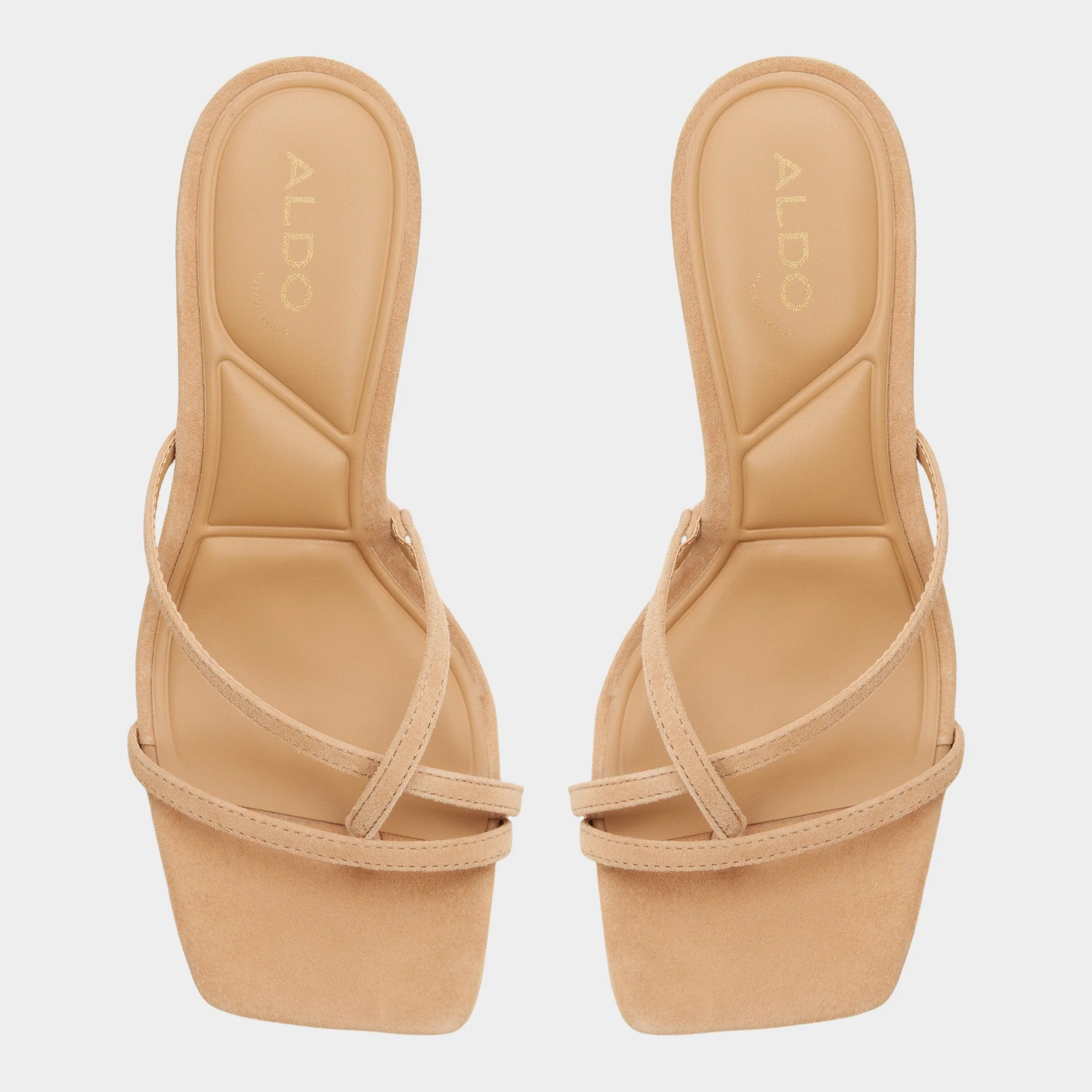 Calypsaa - Image 6
