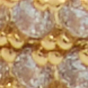 Camillia - Image 2