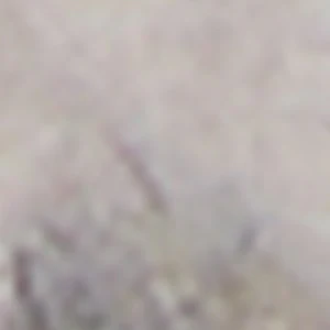 Careslin - Image 2