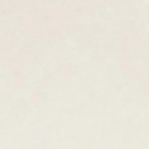 Carollina - Image 7
