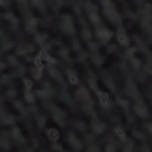 Casino - Image 9