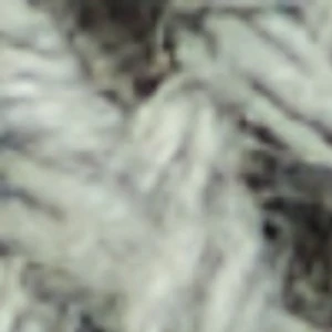 Ccoastbreeze - Image 9