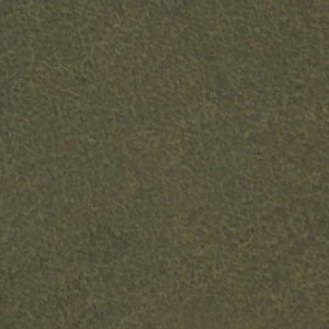 Cedric - Image 9