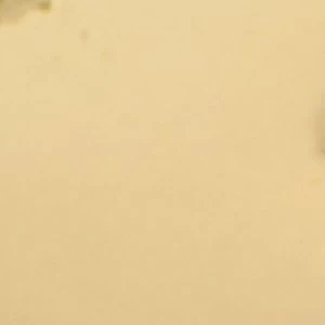 Charmsgo - Image 2