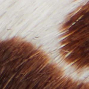 Chicsneaker-xt - Image 8