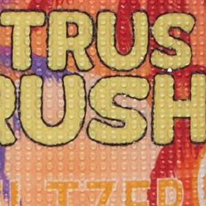 Citruscrushh - Image 5