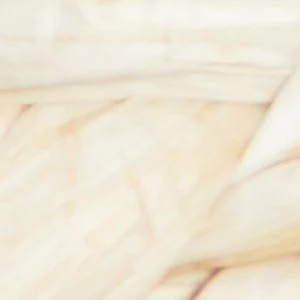 Claudina - Image 8