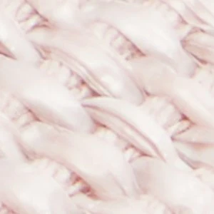 Claudina - Image 7