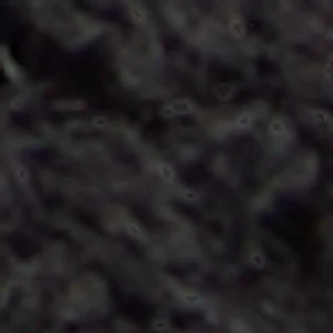 Coastbreeze - Image 9