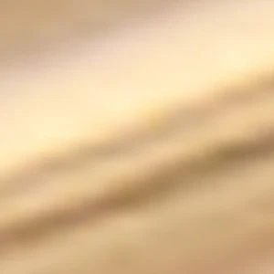 Dailyhoops - Image 2