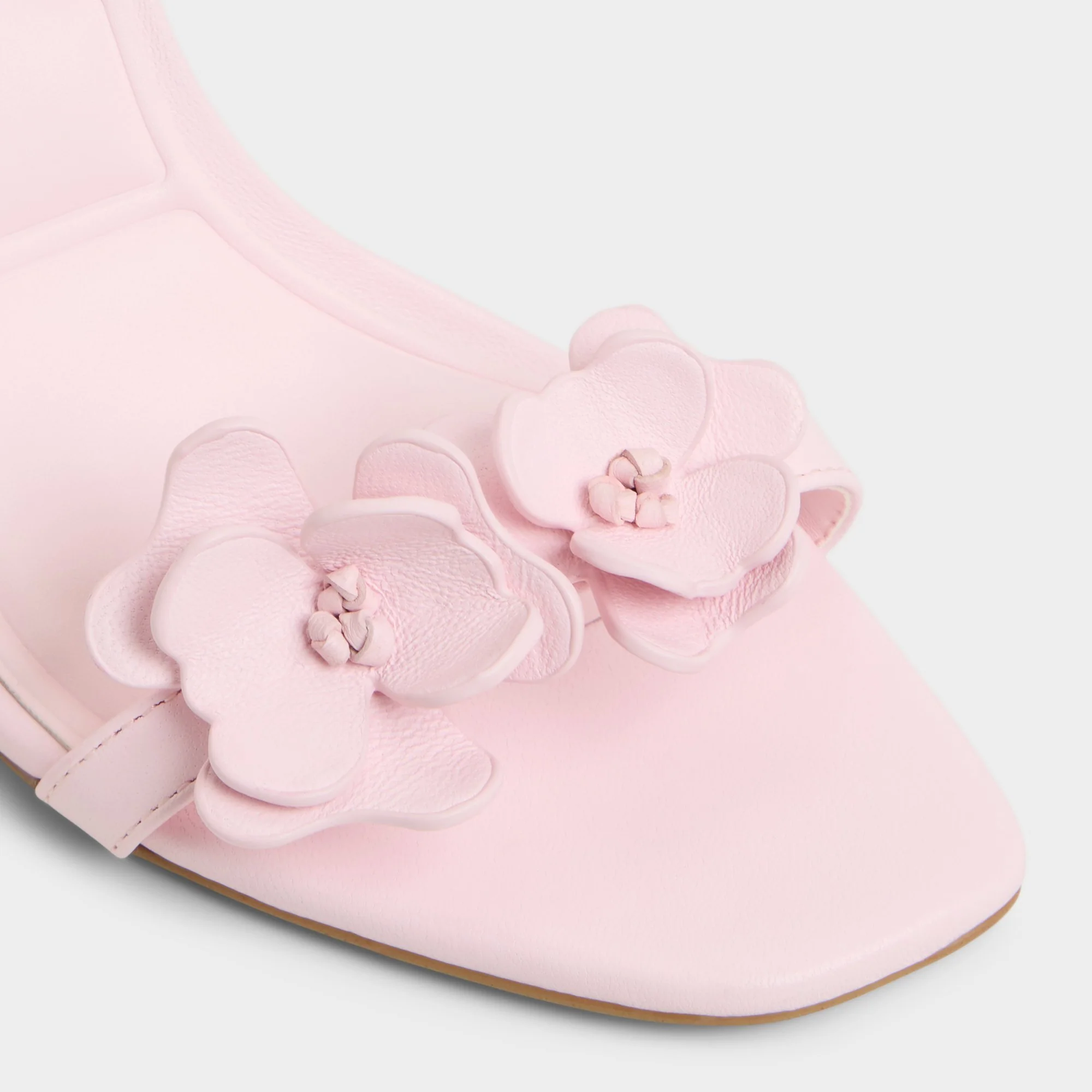 Daisylily - Image 5
