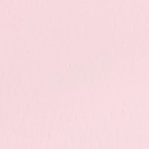 Daisylily - Image 8