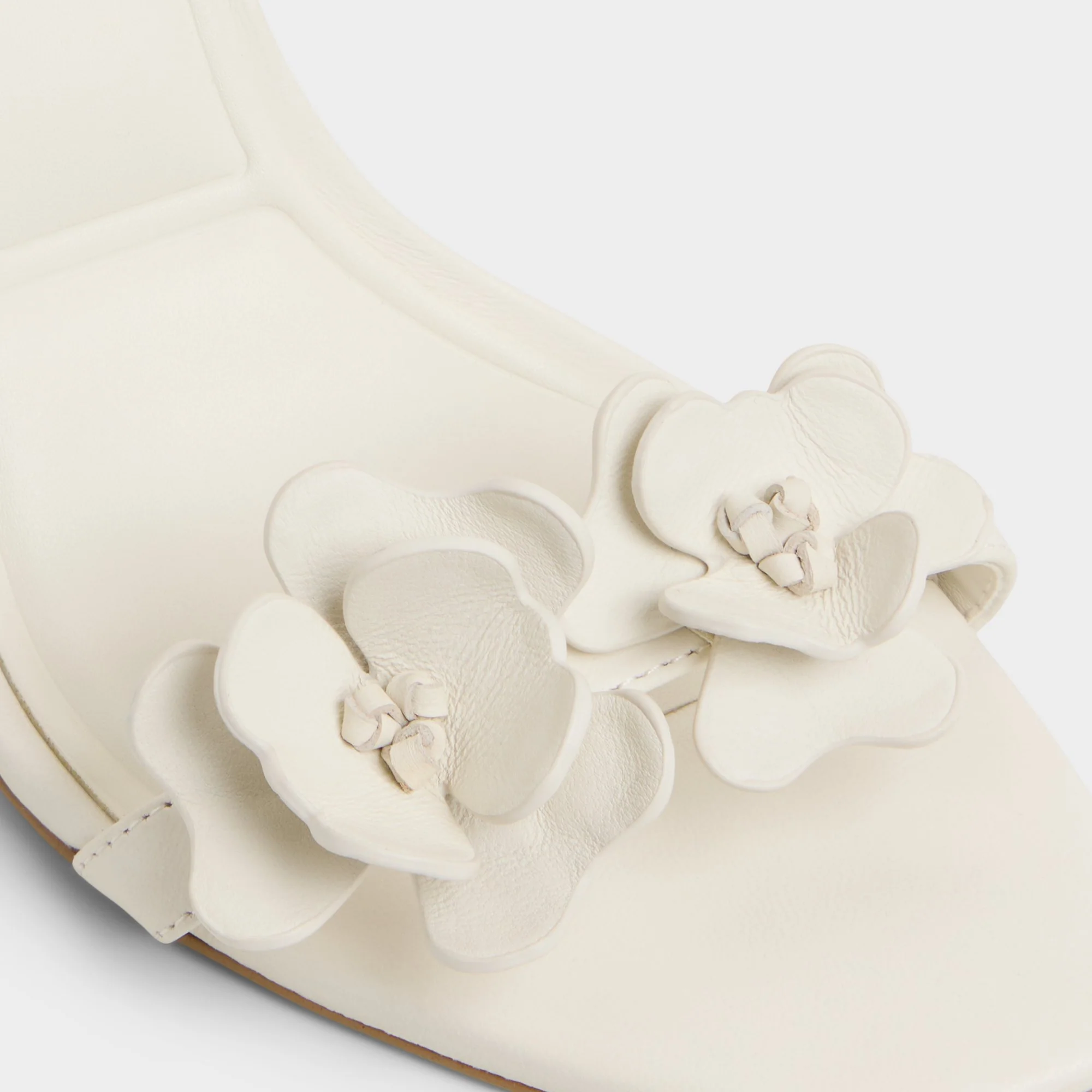 Daisylily - Image 7