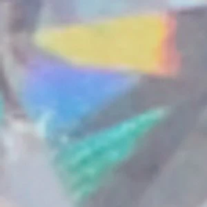 Daniellia - Image 2
